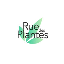 Ruedesplantes